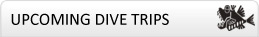 Upcoming Adventure Trips